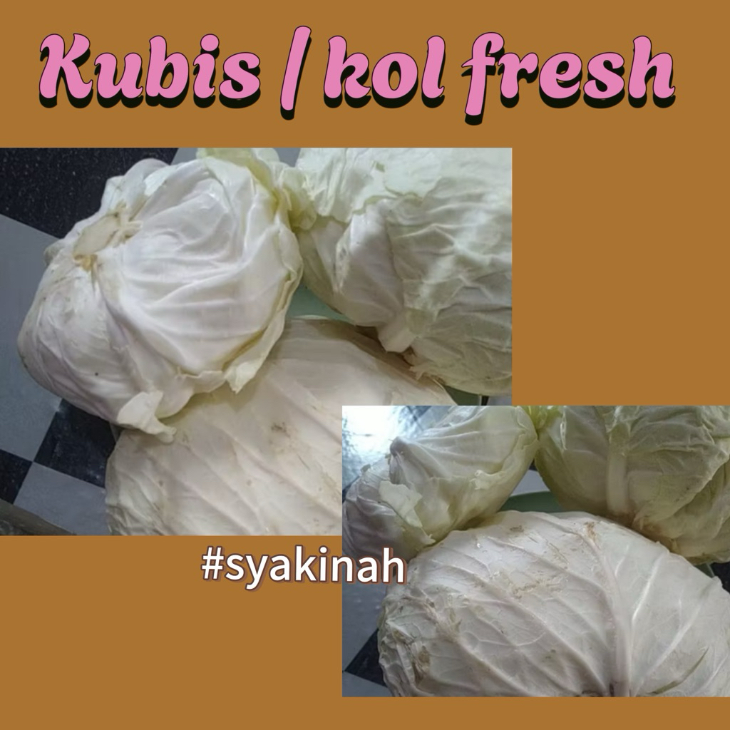 

KUBIS ATAU KOL PILIHAN FRESH 1 kg