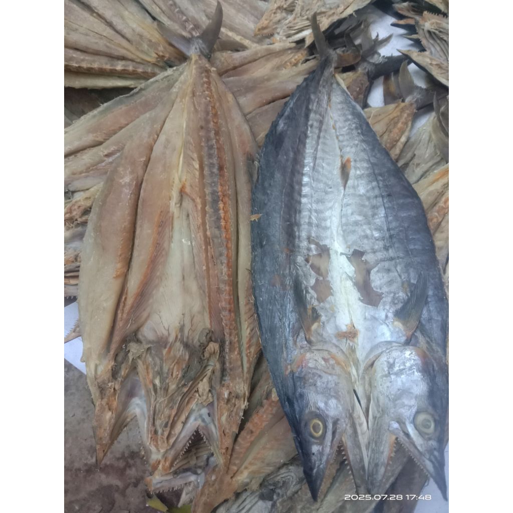 

TELANG TENGGIRI EKORAN BERAT 700 - 1.000g ikan asin , iwak karing tenggiri ikungan.