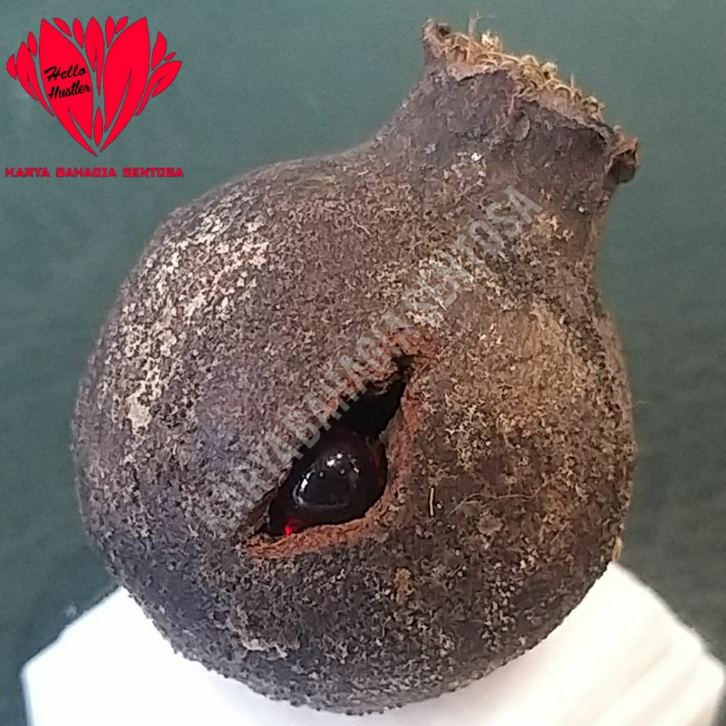 Batu Permata Merah Nitis Dalam Buah Delima Alami Merah Siam Bola 5 mm Signature Collection