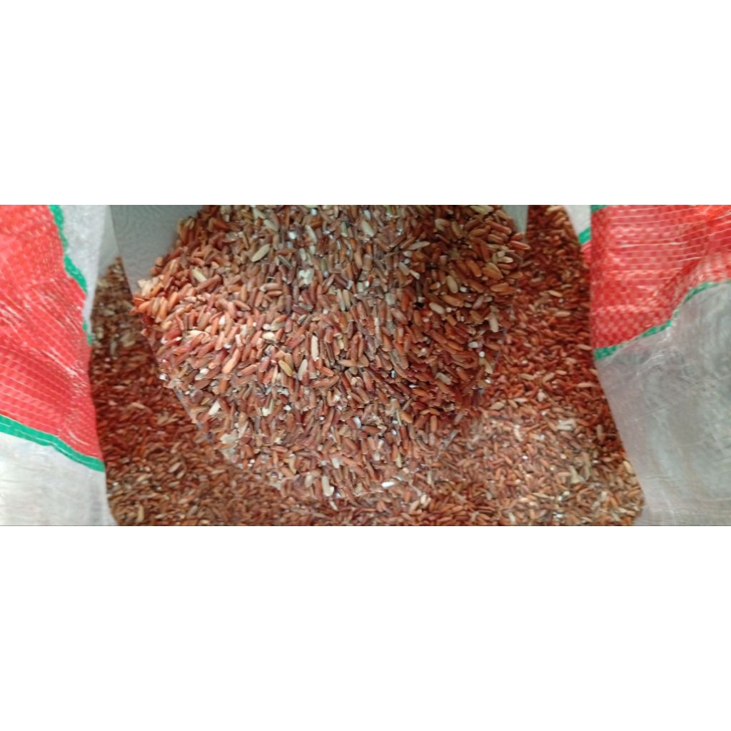 Pakan Ayam | Beras Merah | Jagung Pecah | Gabah Merah | Dedek Tulen | Jagung Menir | Jagung Cililin