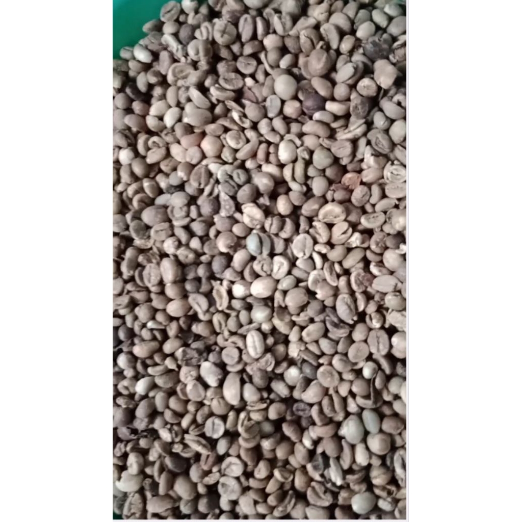 

greenbean biji kopi robusta gunung semeru 10 kilo gram stok terbatas