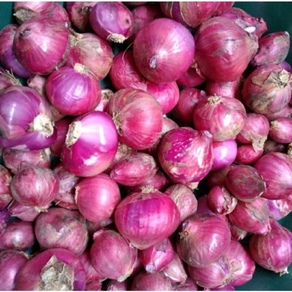 

BAWANG MERAH SEGAR/pack 100 gr