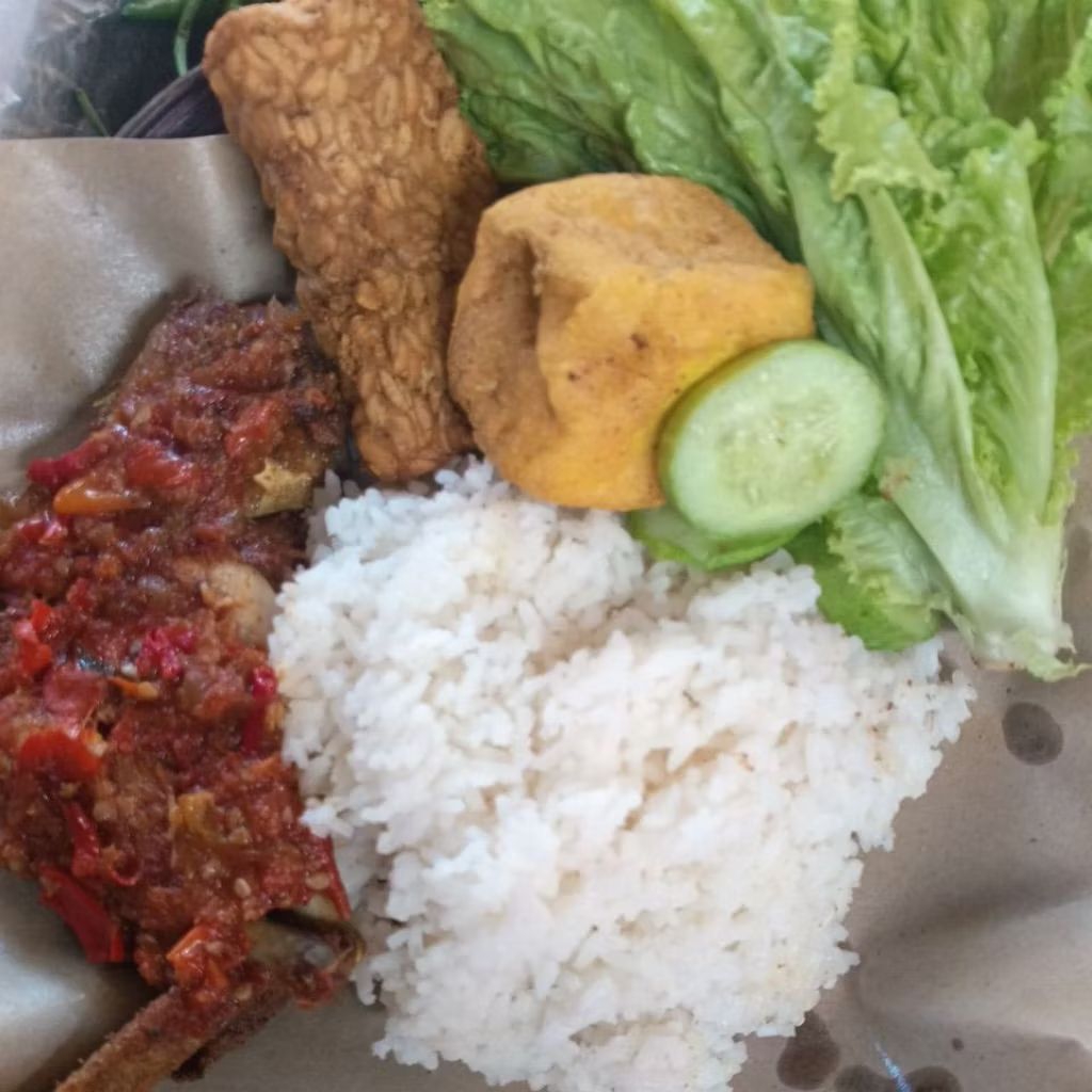 

nasi paket ayam + tahu + tempe lalap