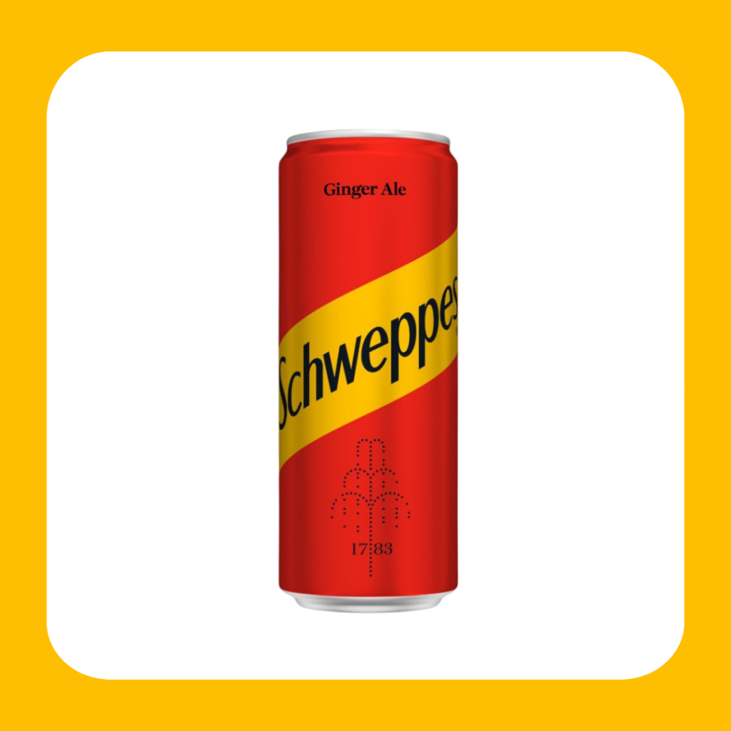 

Schweppes Ginger Ale - 250ml