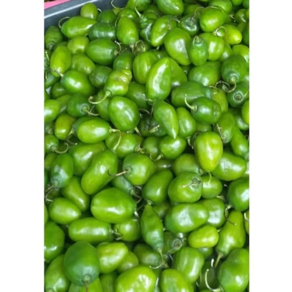 

Cabai gendot press asli bandung 500gr