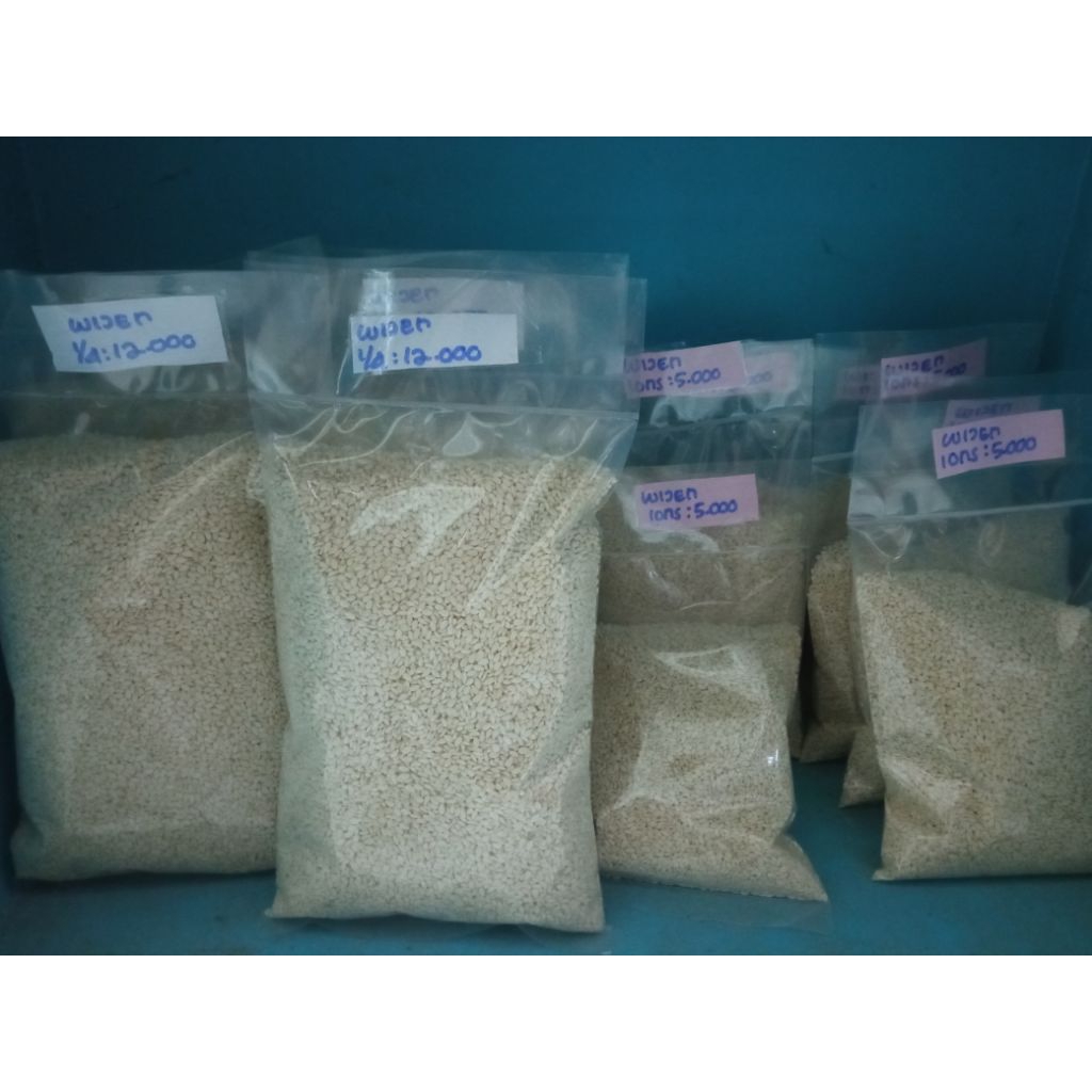 

Biji Wijen Putih Repack