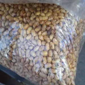 

Kacang kedelai goreng