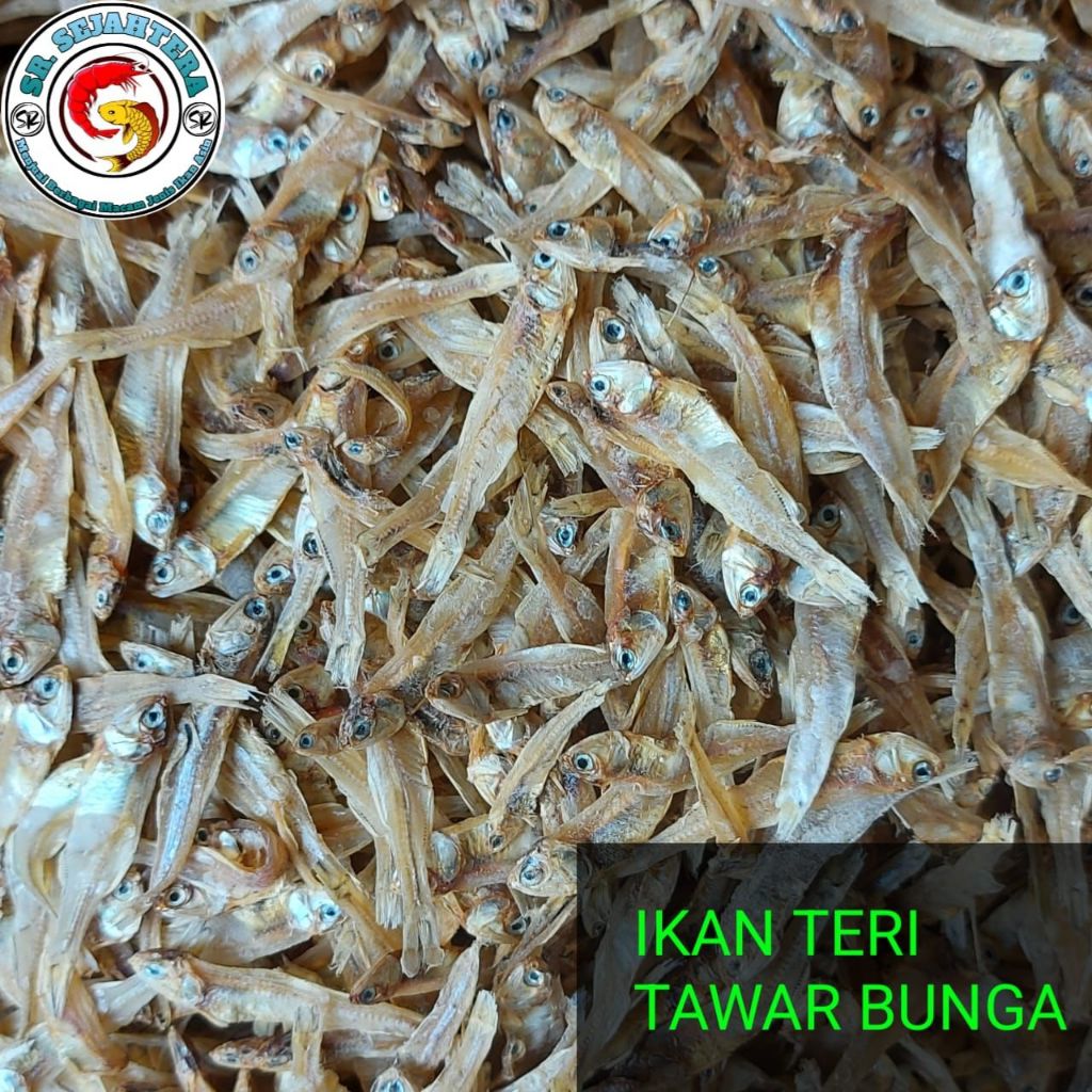 

IKAN TERI TAWAR BUNGA / IKAN ASIN TERI TAWAR BUNGA / IKAN TERI / IKAN ASIN