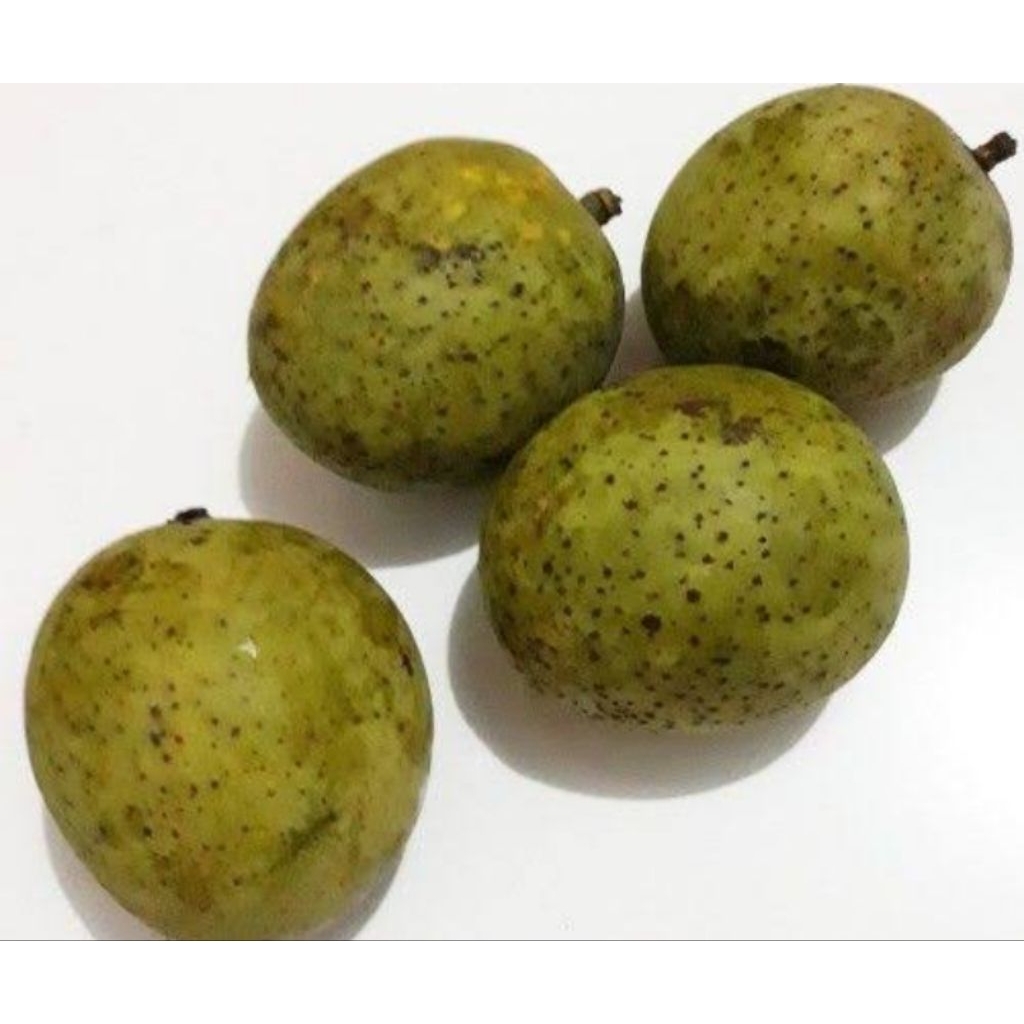 

BUAH LIMUS TUA SATU KILO