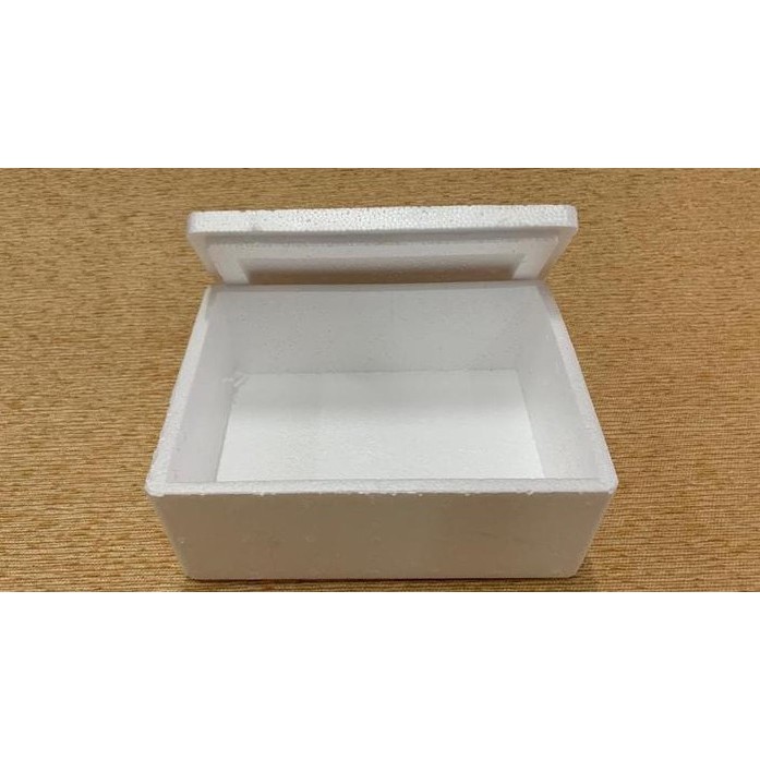 

STRYFOAM UNTUK PACKING MAINAN IKAN AXOLOTL LUAR PULAU JAWA