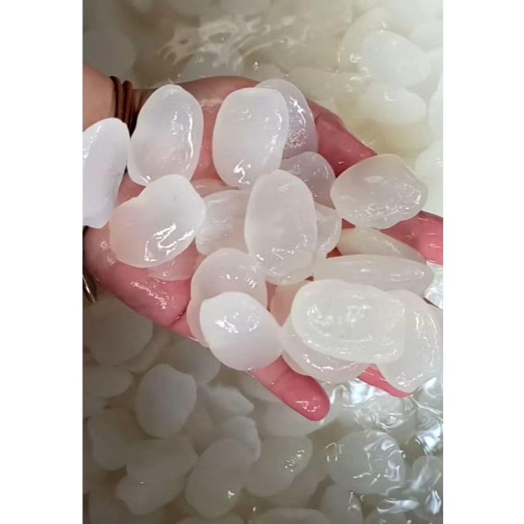 

Ready buah kolang kaling Fresh super kenyal 1 kg