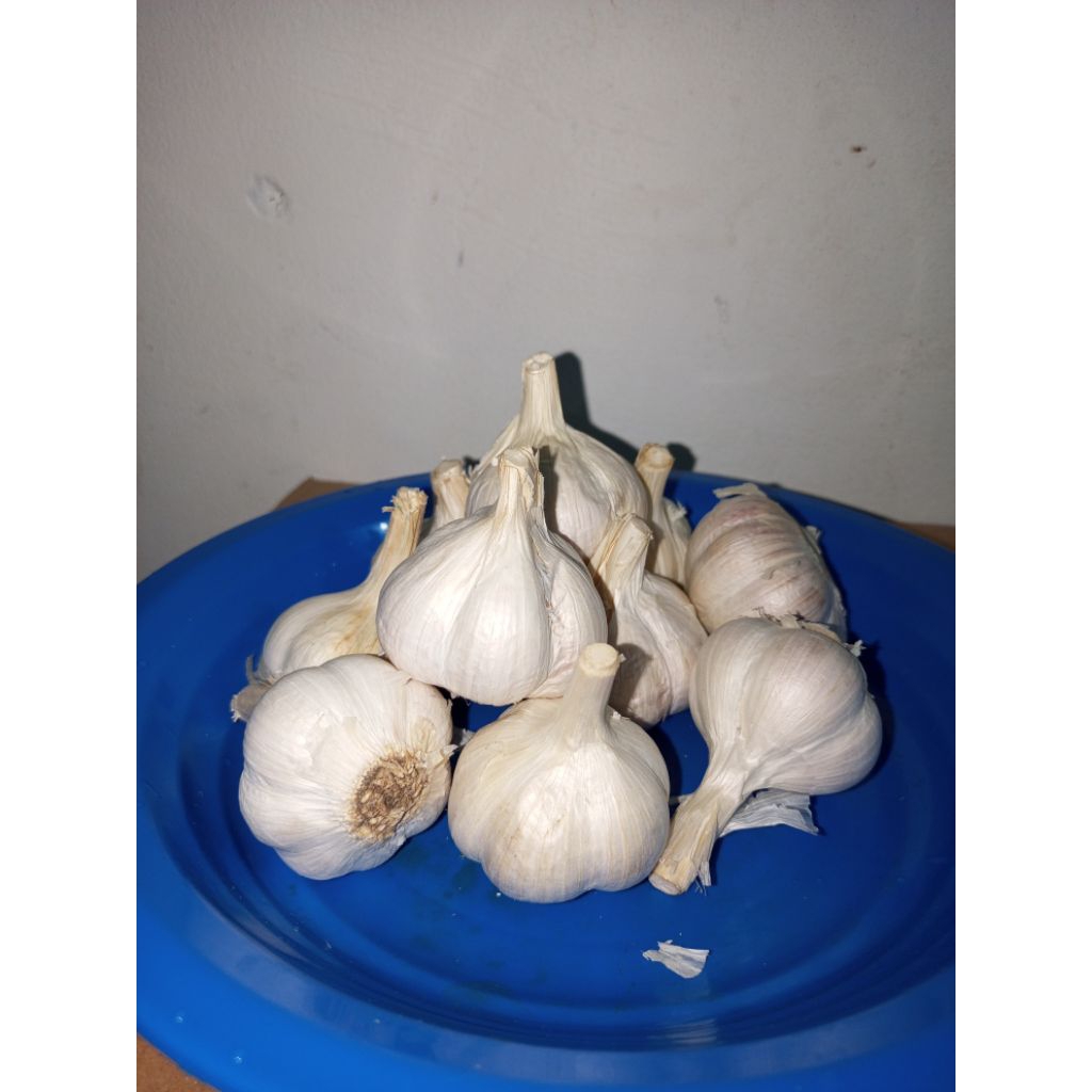 

Bawang Kating Utuh 1 kg