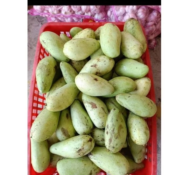 

MANGGA MUDA KRES KRES 1 KG