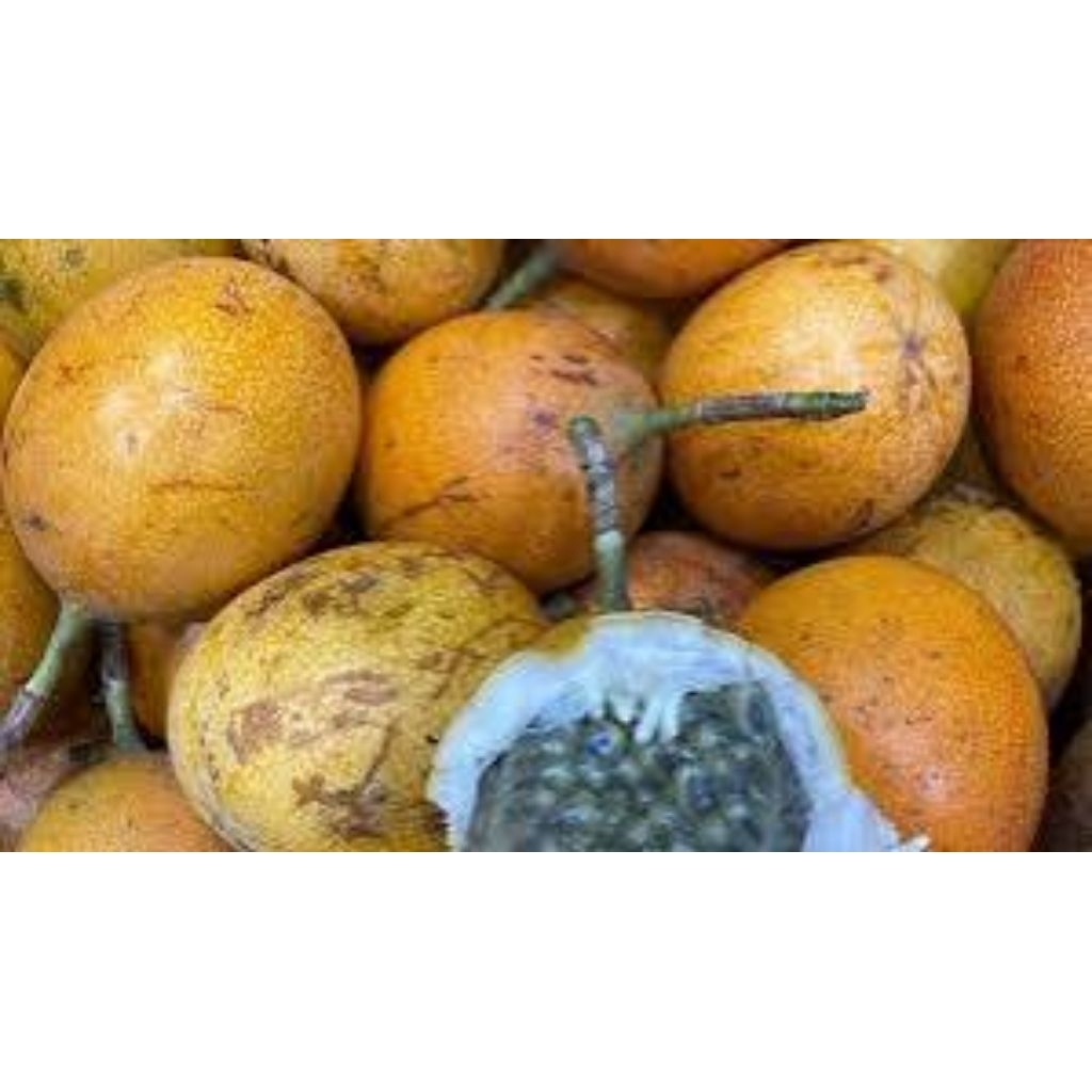 

Buah Markisa Fresh 1 kg