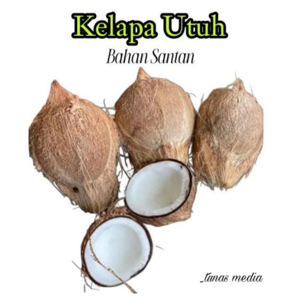 

1pcs kelapa tua asli bante