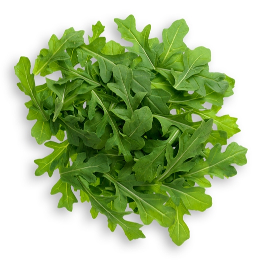 

Arugula/Arugula Segar/Sayur Arugula/Arugula Fresh/Sayur Hijau Arugula/1 Kg