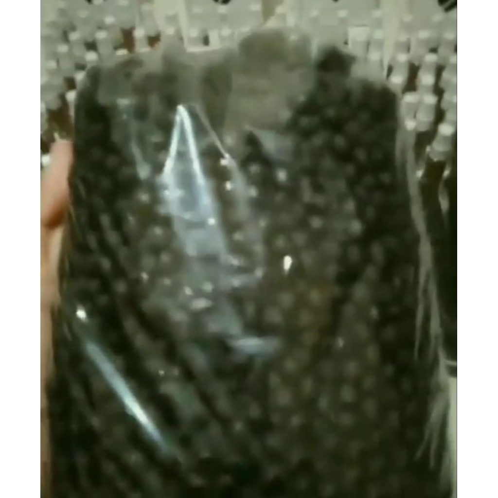 empot ayam super Madura sekilo rapet wangi sekilo jamu empot empot Madura kiloan