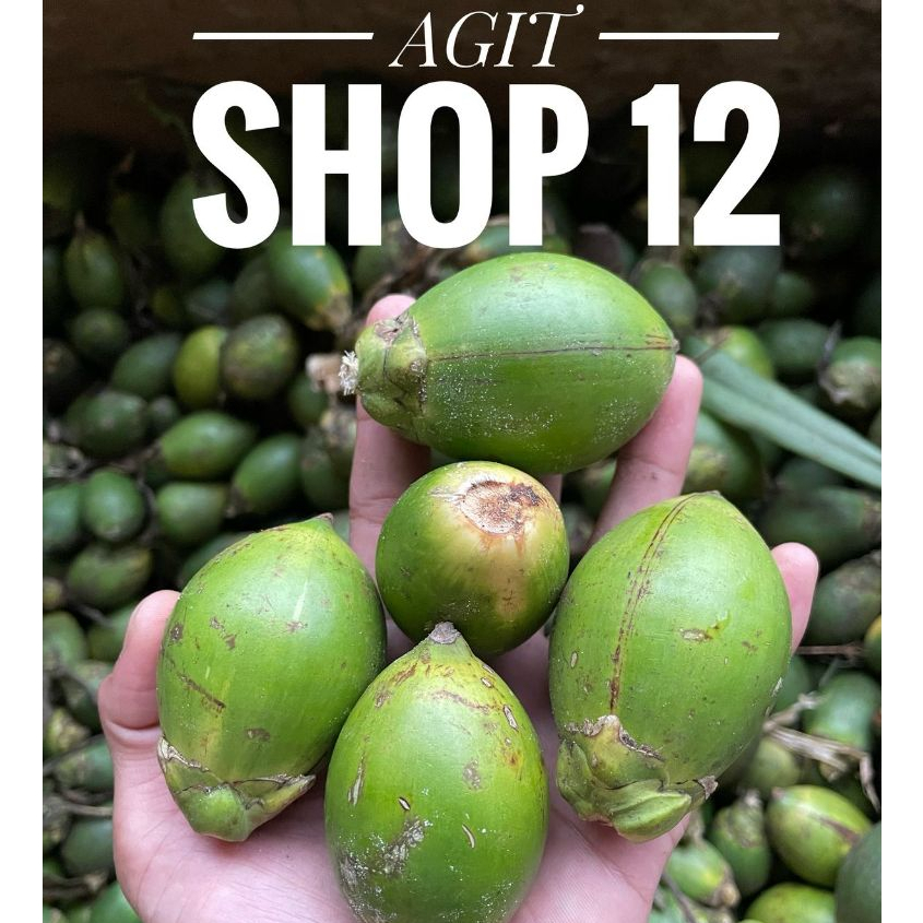 

JUAL BUAH PINANG MUDA / JAMBE MUDA SEGAR SATUAN