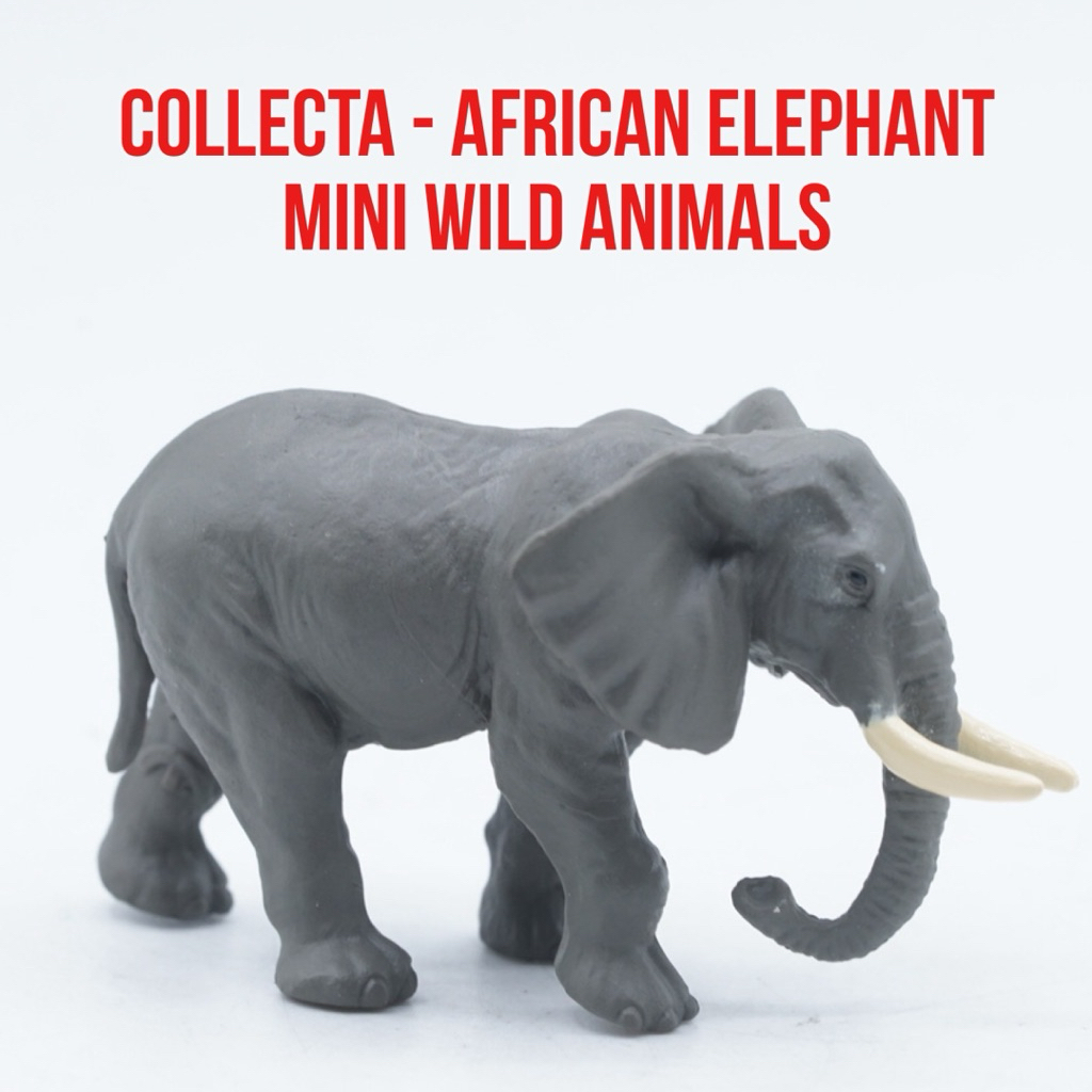 Collecta A1105 Mini Wild Animals - African Elephant Gajah Afrika Loxodonta - Small Size Ukuran Kecil
