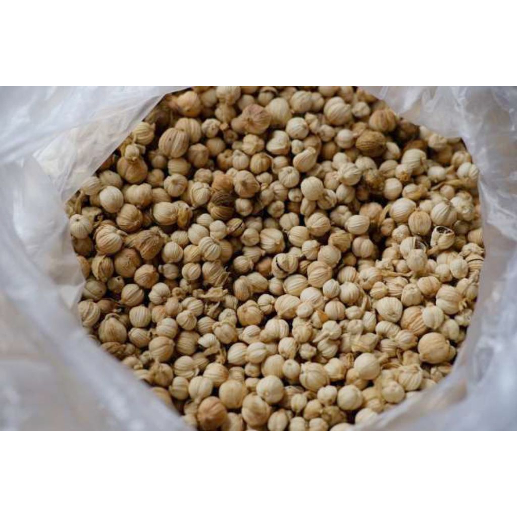 

buah kapulaga kering 50grm kapol kering kapol rempah kebuli