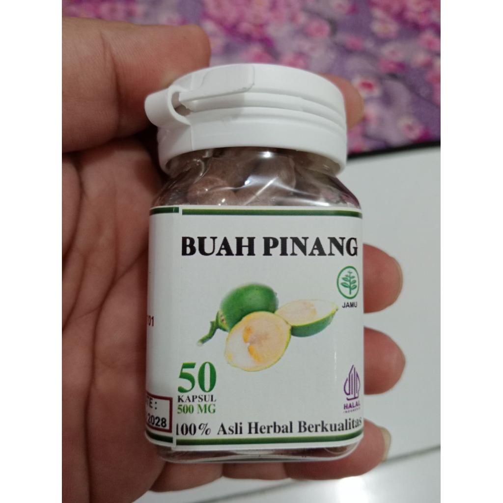 

Buah pinang Muda Berkualitas isi 50.kapsul