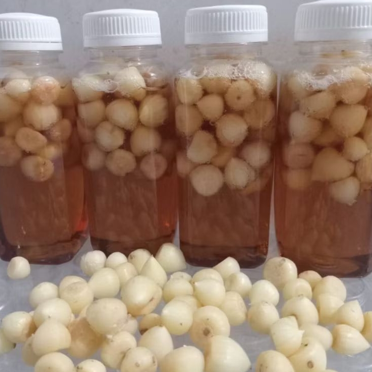 

madu asli hutan bawang putih tunggal 350 gram