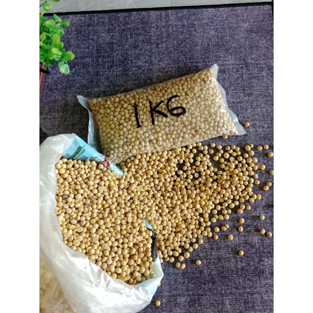 

Kacang Kedelai 1kg import PREMIUM