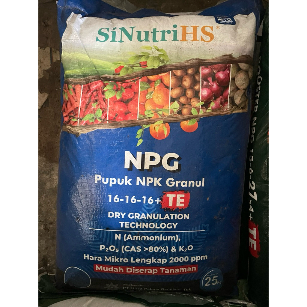 Pupuk NPK NPG Pupuk NPK Granul 25 KG