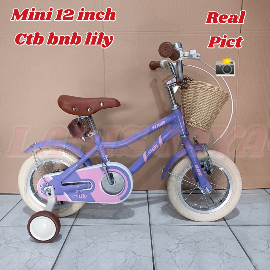 SEPEDA ANAK MINI 12 INCH CTB  BNB LILY KERANJANG BY BNB (BIKE N BIKE) TERBARU
