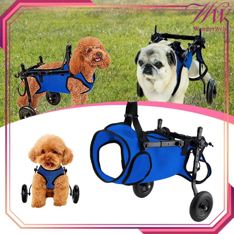 Kursi Roda Anjing Kucing Wheelchair Anjing Alat Bantu Jalan Anjing Dog Wheelchair Dog