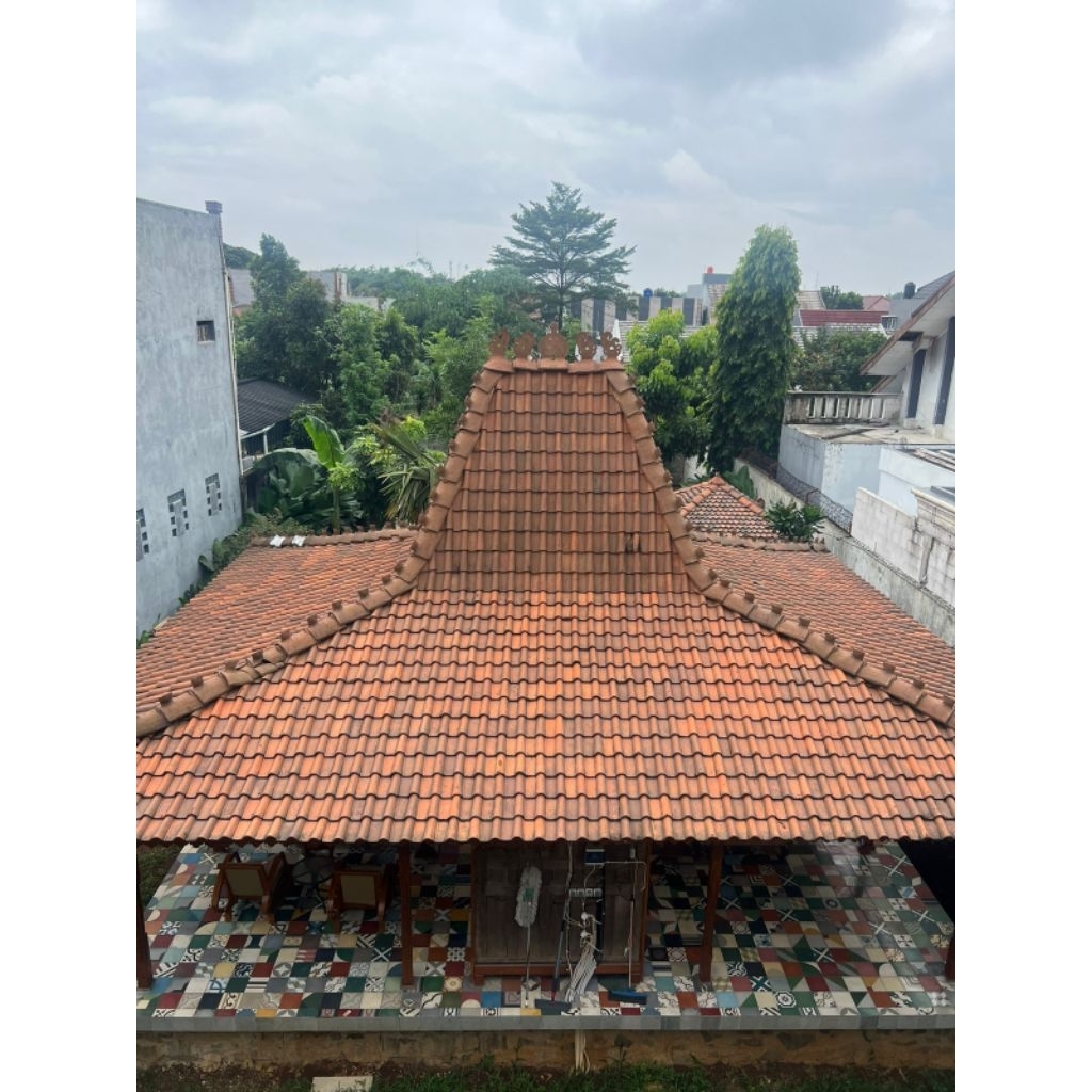 Rumah joglo kayu jati, Rumah joglo ukir