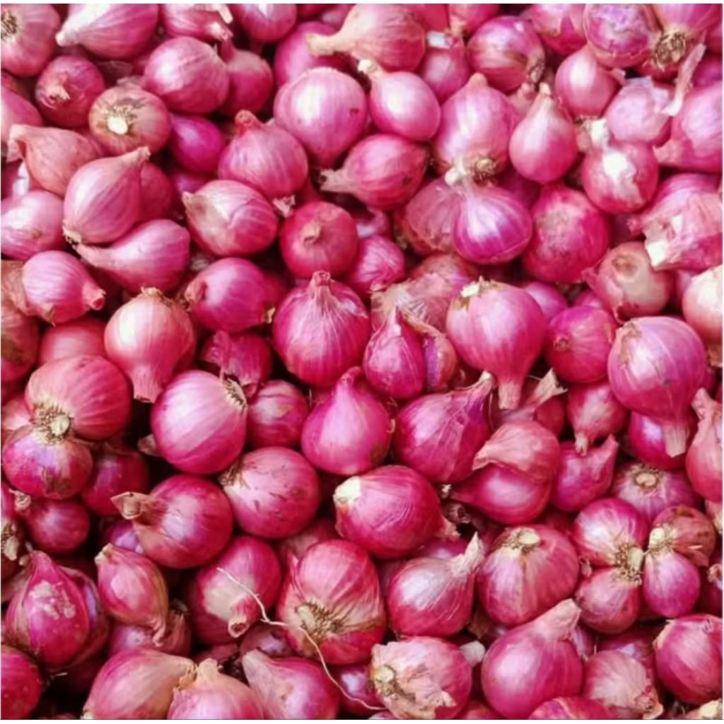 

Bawang merah Brebes 1Kg