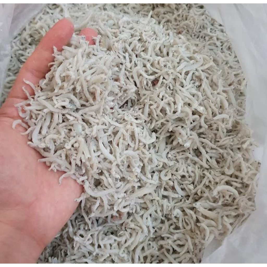 

TERI MEDAN/IKAN TERI 500GR