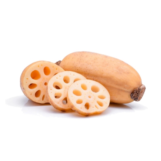 

Akar Teratai/Lotus Root/Lotus Slice/Lotus Potong/Akar Teratai Segar/Fresh Lotus Root/10 Kg/Box