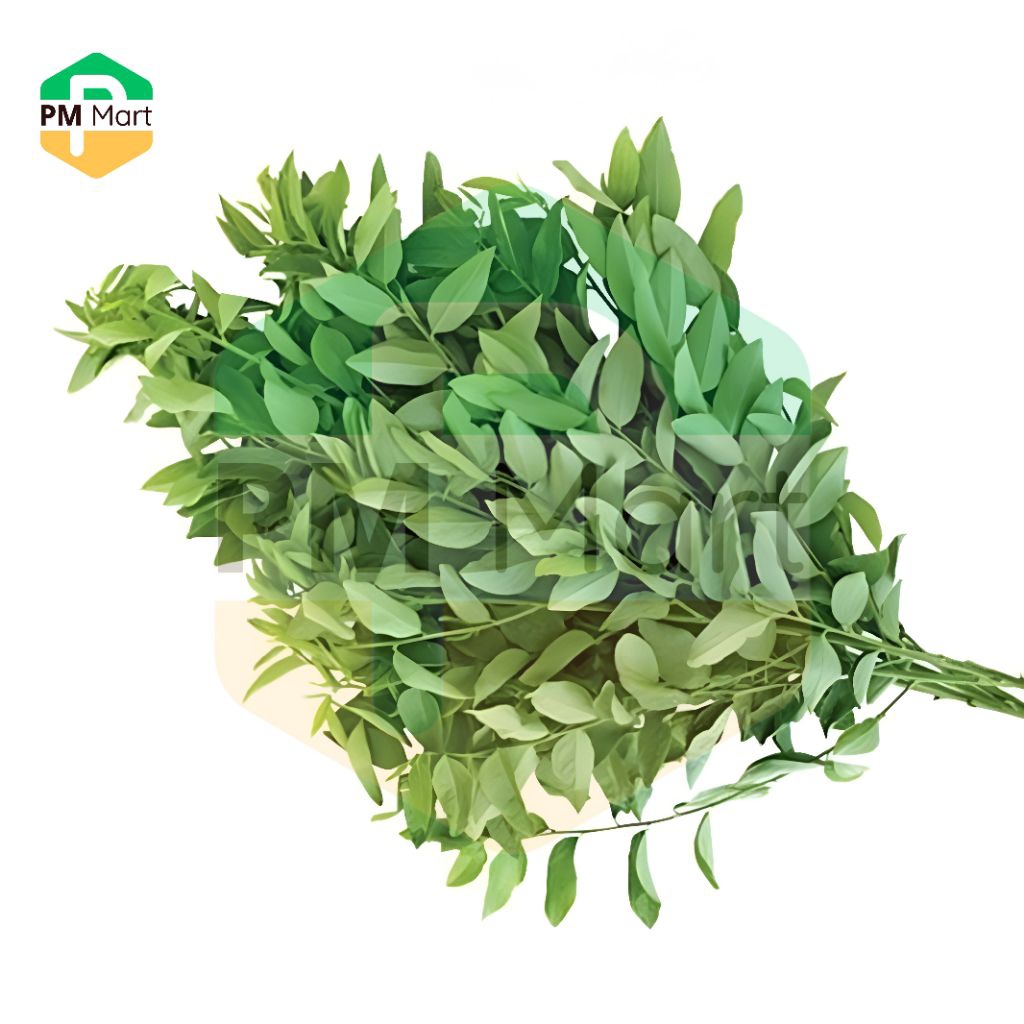 

Sayur Daun Katuk Segar dan Bergizi 1 Ikat