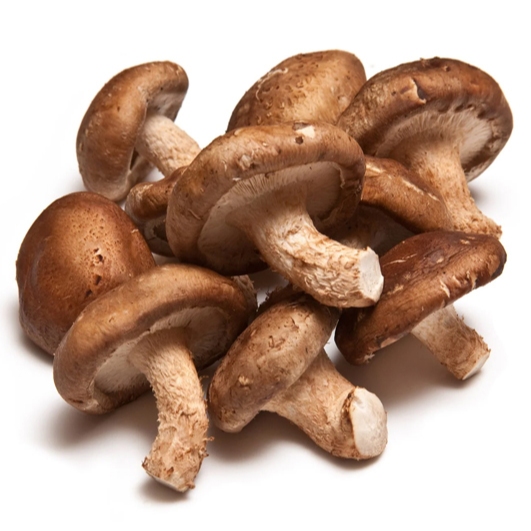 

Jamur Shitake Pack/Shiitake Mushroom/Shiitake/Jamur Shitake Segar/Fresh Shiitake/5 Kg/Pack