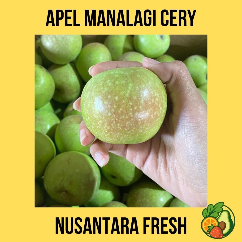

APEL MANALAGI CERY KOTA BATU I 1 KG I BUAH BERGARASNI