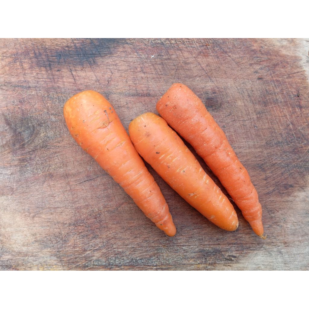 

Wortel Berastagih 500gr