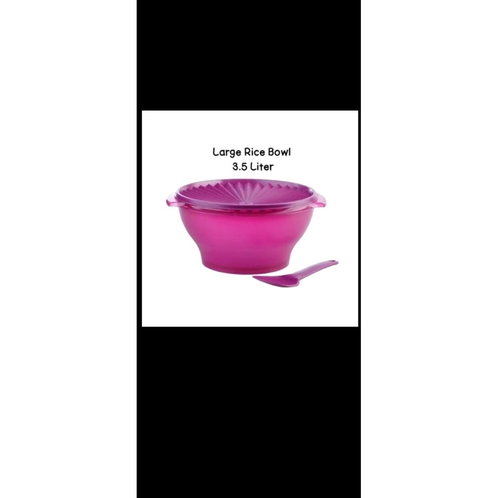 Rice bowl tupperware