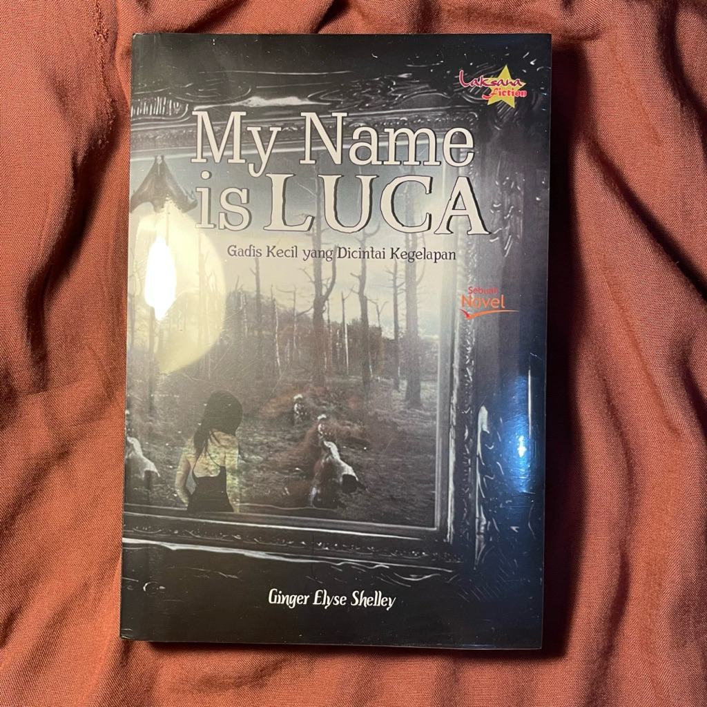Buku Ziggy - My Name is Luca