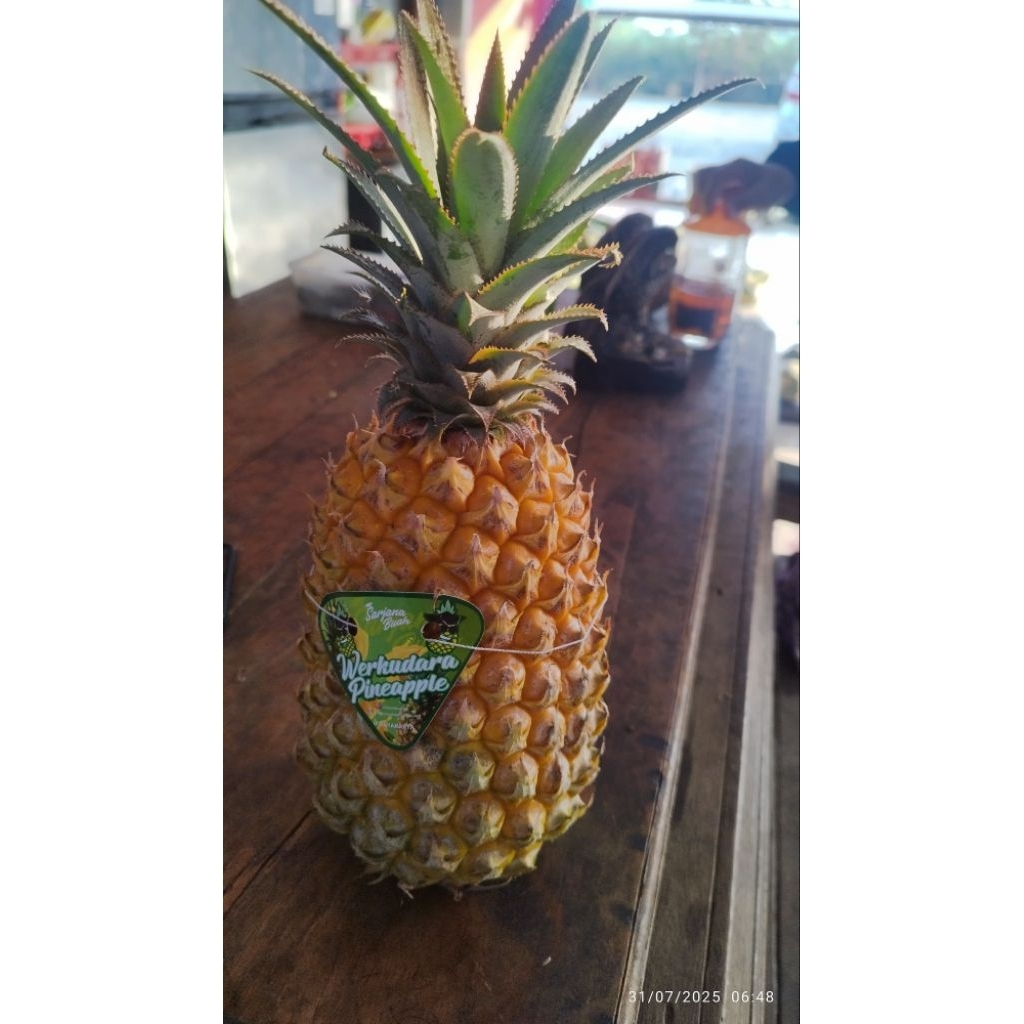 

Nanas Buah Besar Berat kurang lebih 1kg