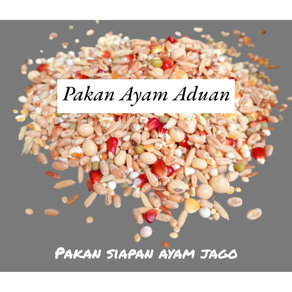 20 KG BIJIAN PAKAN AYAM ADUAN - PAKAN SIAPAN AYAM ADUAN