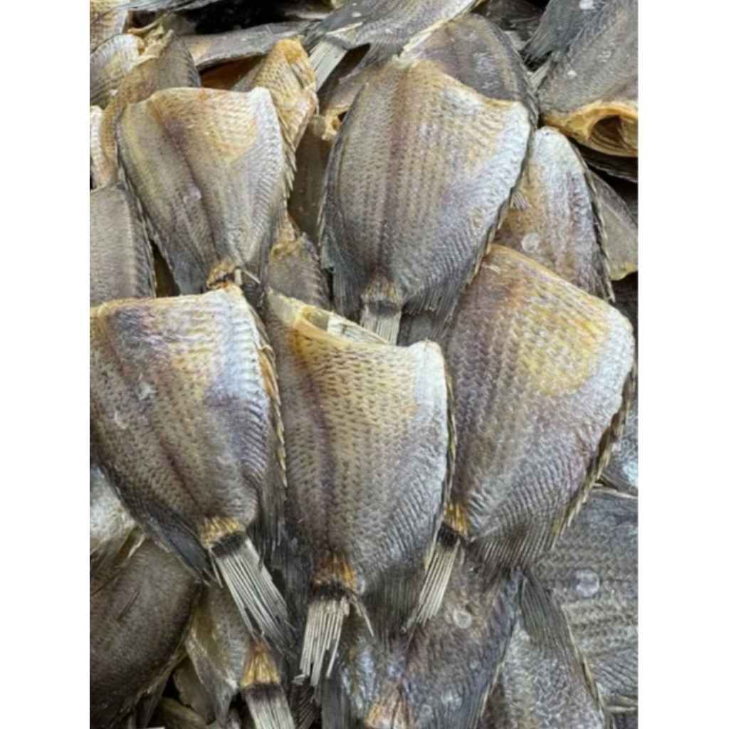 

IKAN ASIN TEMBAKANG / BIAWAAN 500GRAM