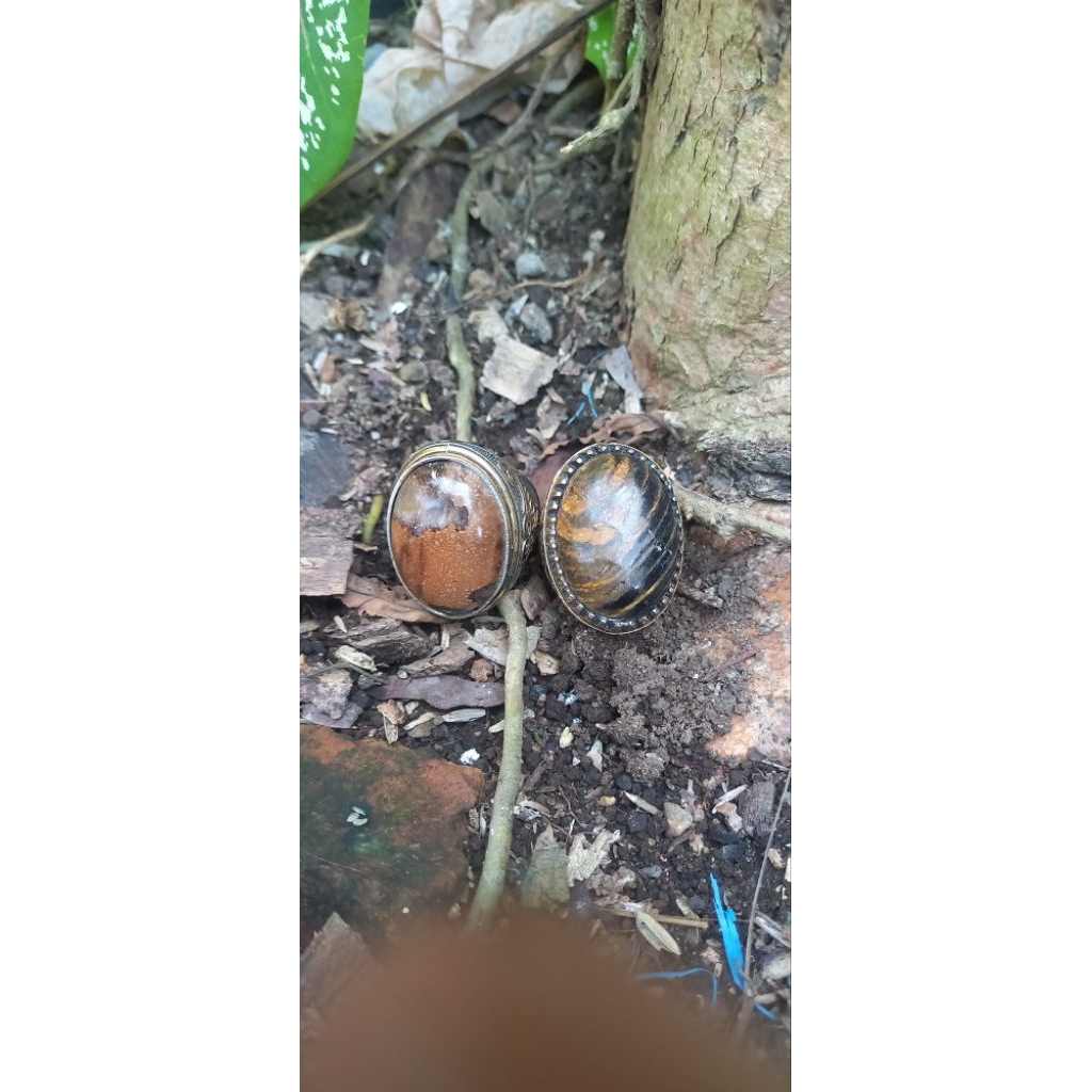 2 pcs cincin batu fosil kayu