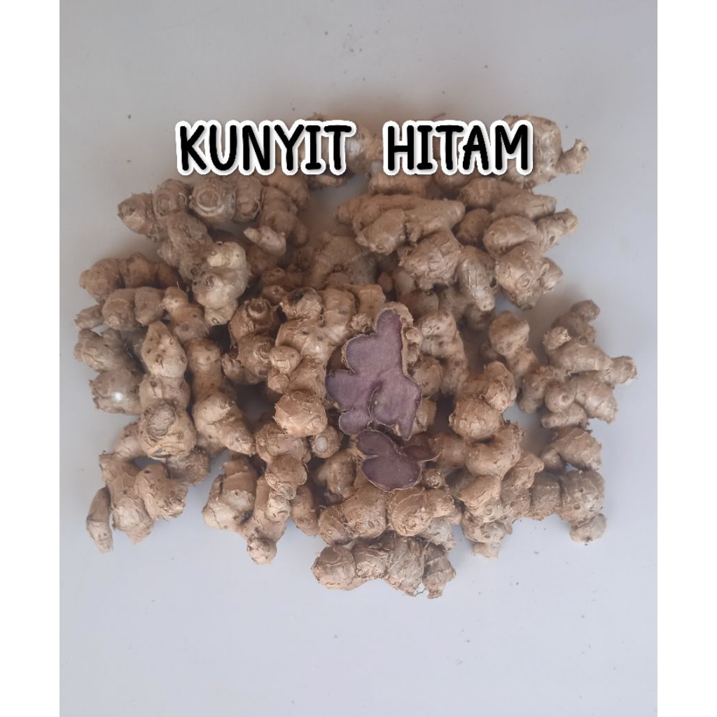 

KUNYIT HITAM SEGAR ISI 250 Gram - ( Kaemferia parviflora)