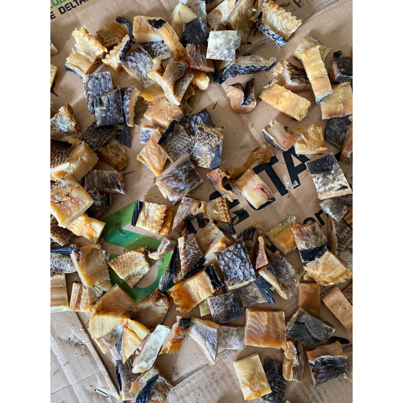 

ikan asin lephu potong 100gr