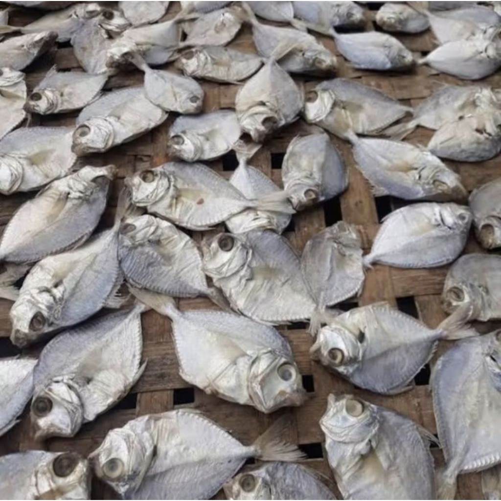 

Ikan asin petek/pirik kemasan 1kg