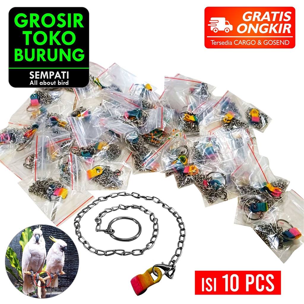 SEMPATI GROSIR Rantai Borgol Burung Nuri Falk Parkit Parrot Hantu Isi 10 Pcs Rantai Kaki Burung Lati