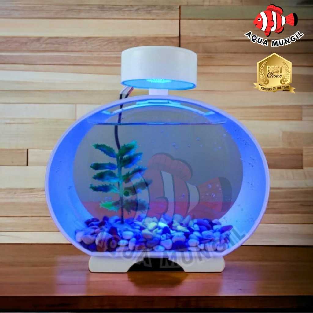 Aquarium Ikan Cupang Soliter Akrilik Ikan Cupang Aquarium Akrilik Ikan Cupang Aquarium Ikan Cupang U