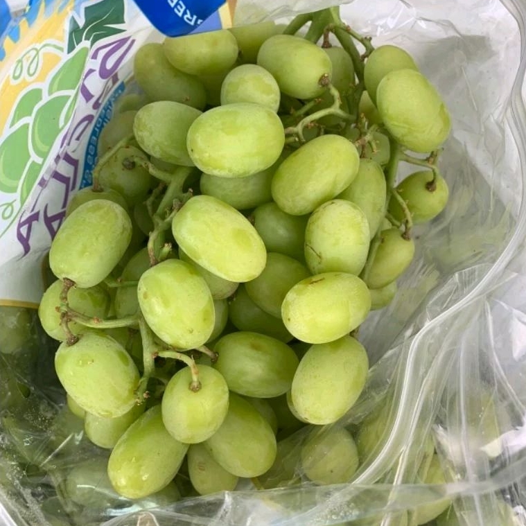 

Buah Anggur Bella Usa Fres Manis Hijau 1 KG